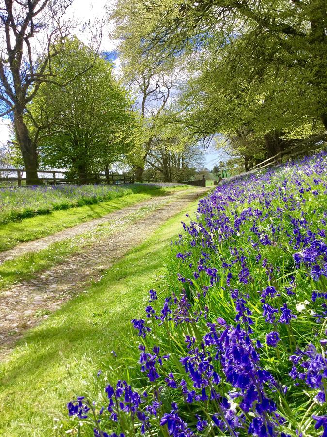 Willowhill House Minane Bridge Esterno foto